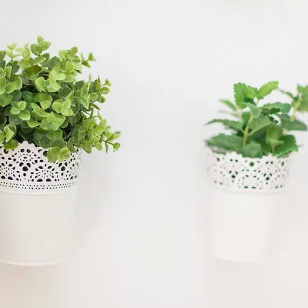 Bairrus - Rossio Lisboa