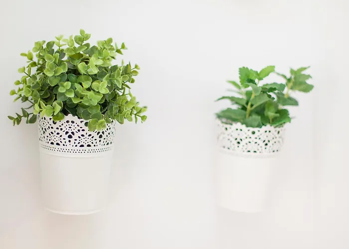 Bairrus - Rossio Lisboa